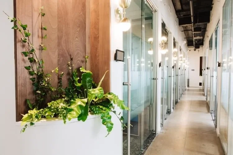 Screenly is a powerful platform to communicate your messages in your co-working space or shared office.