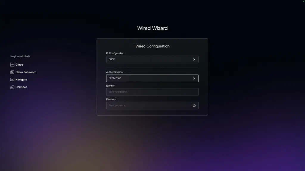 wired dhcp setup screenshot