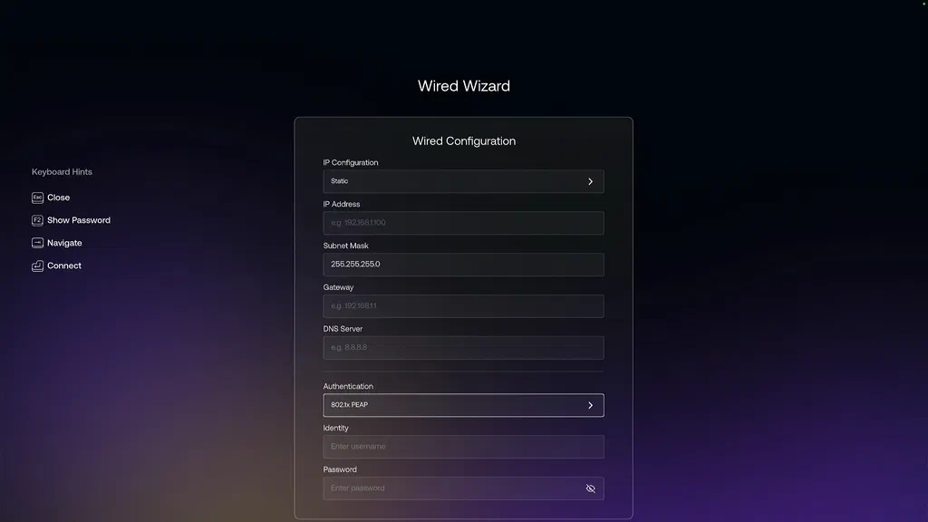 wired static setup screenshot